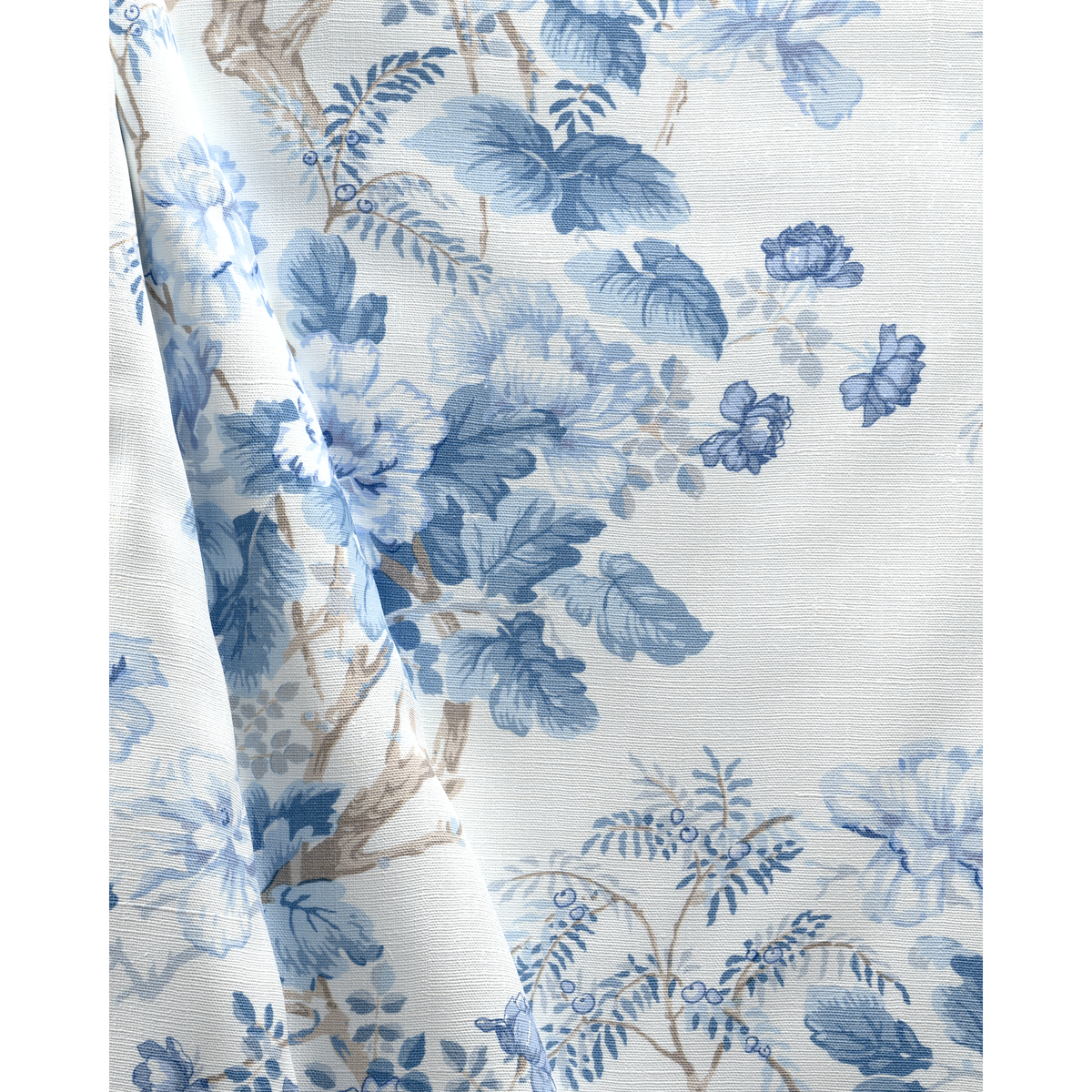 Chinese Peony - Horizon