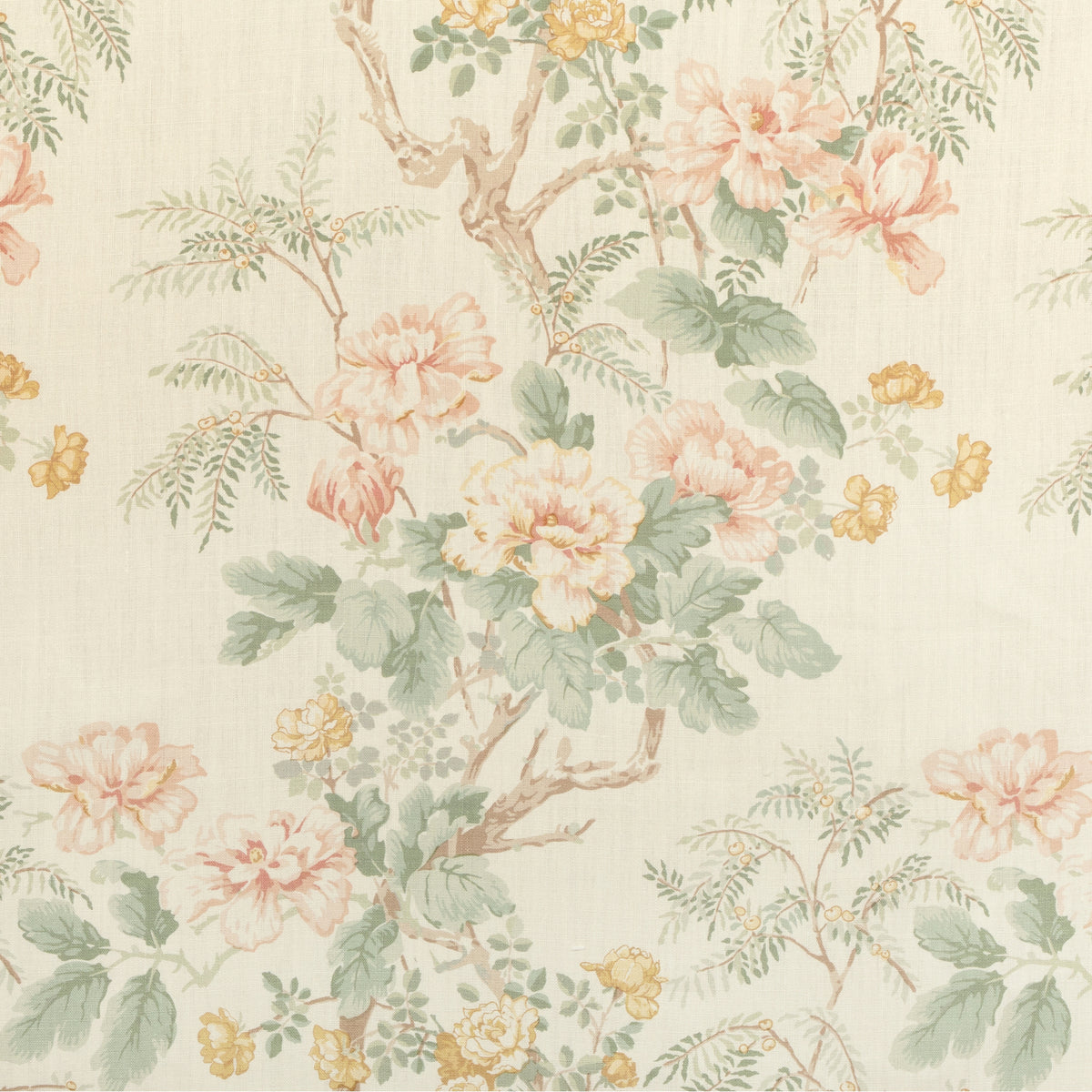 Chinese Peony - Blush