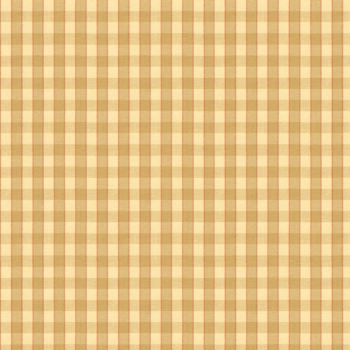Courtenay - Biscuit