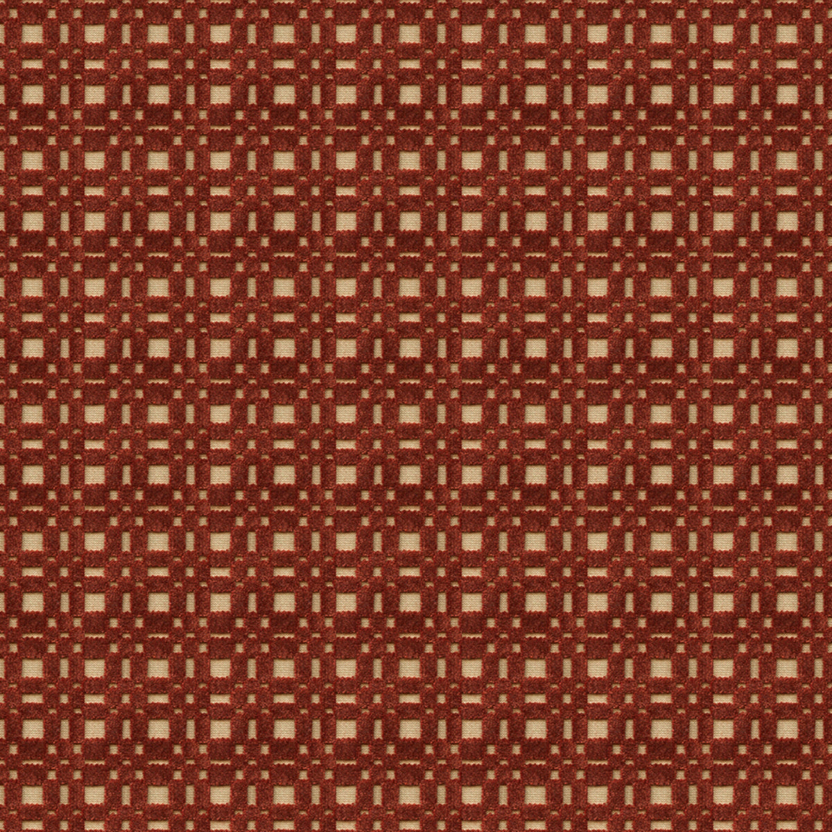 Shoridge - Cherry