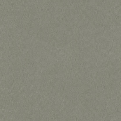 Highland - Silver