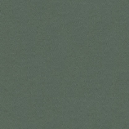 Highland - Tidal