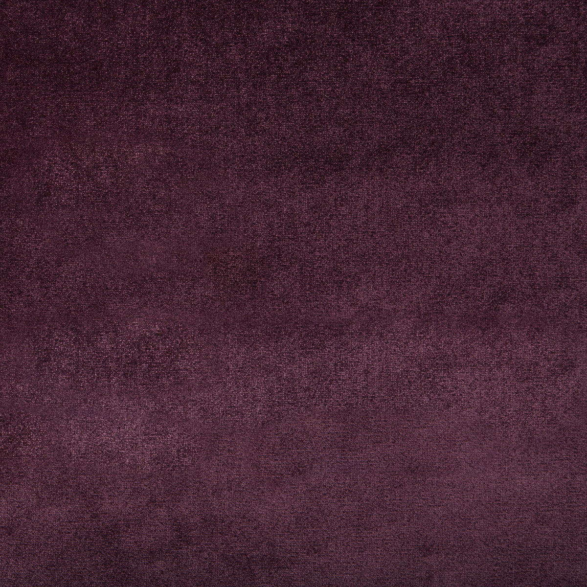 Duchess Velvet - Purple