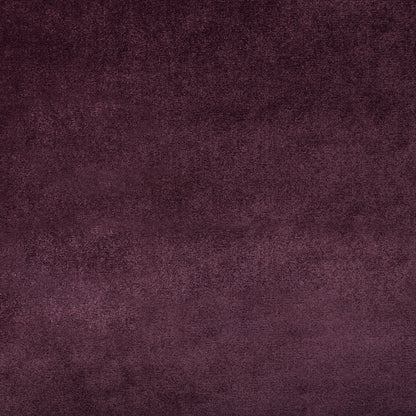 Duchess Velvet - Purple