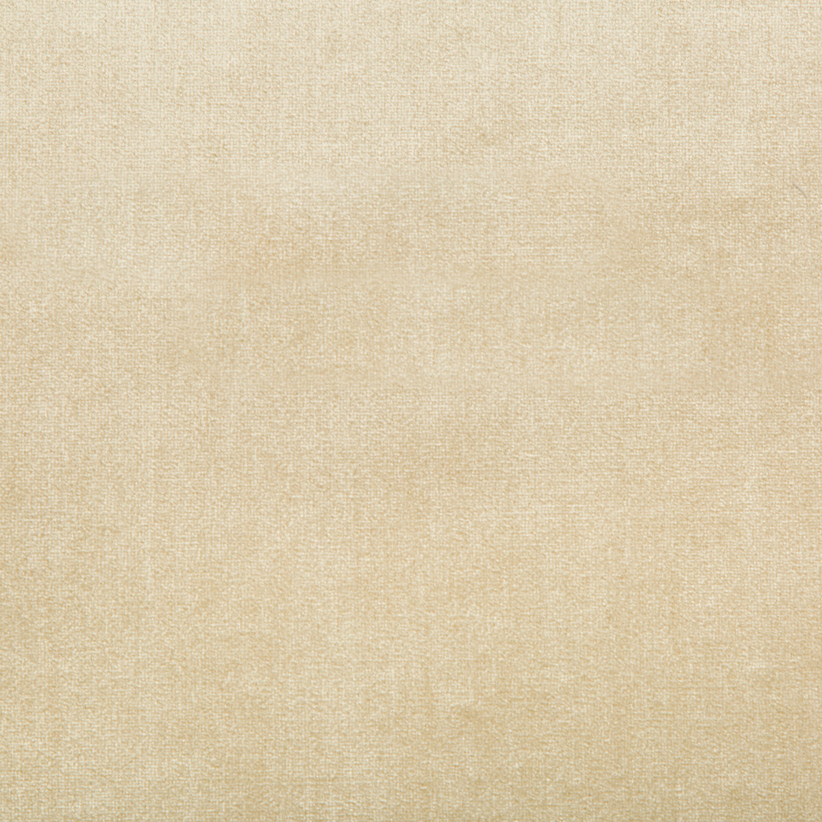 Duchess Velvet - Beige