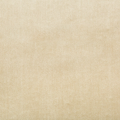 Duchess Velvet - Beige