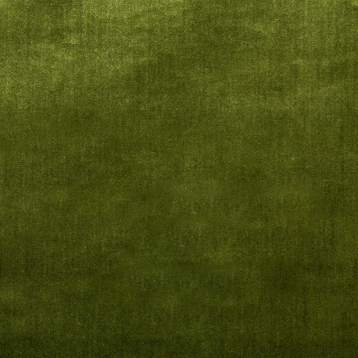 Duchess Velvet - Olive