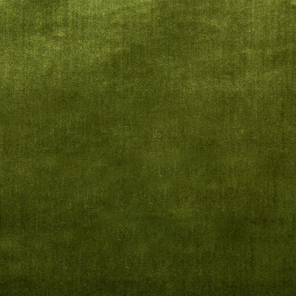 Duchess Velvet - Olive