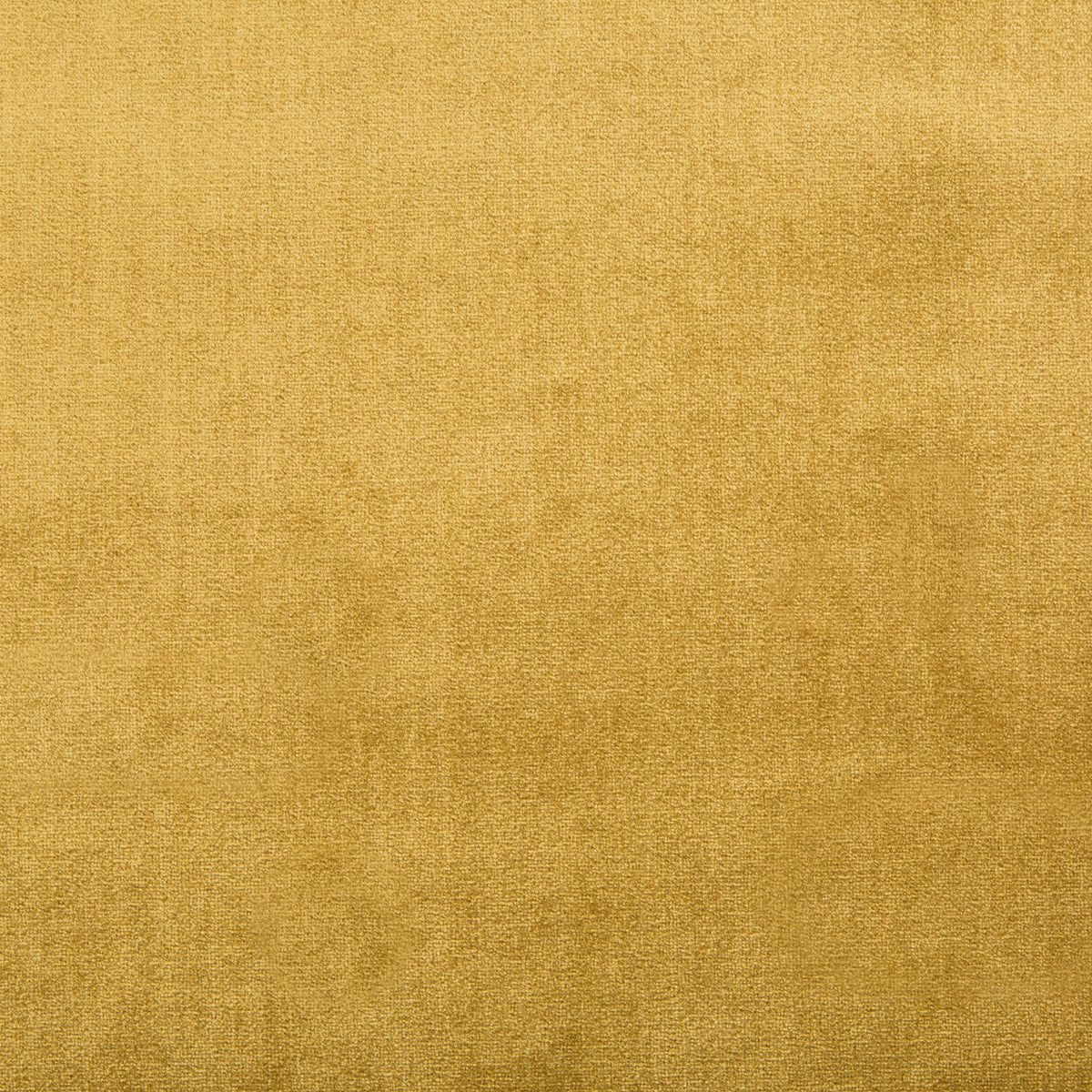 Duchess Velvet - Oro