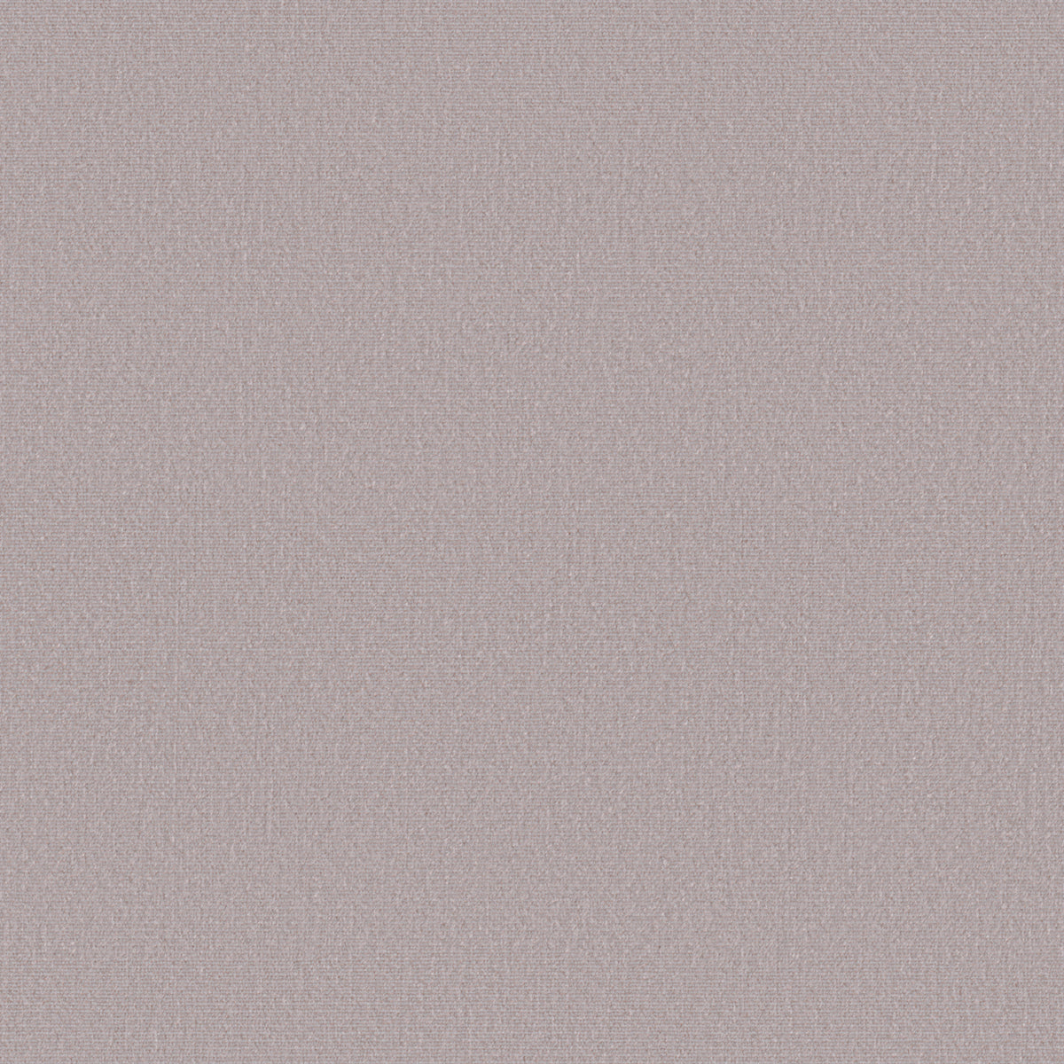 Duchess Velvet - Blush