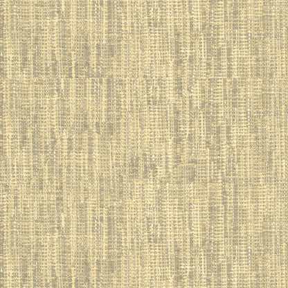 Morecambe Bay - Maize