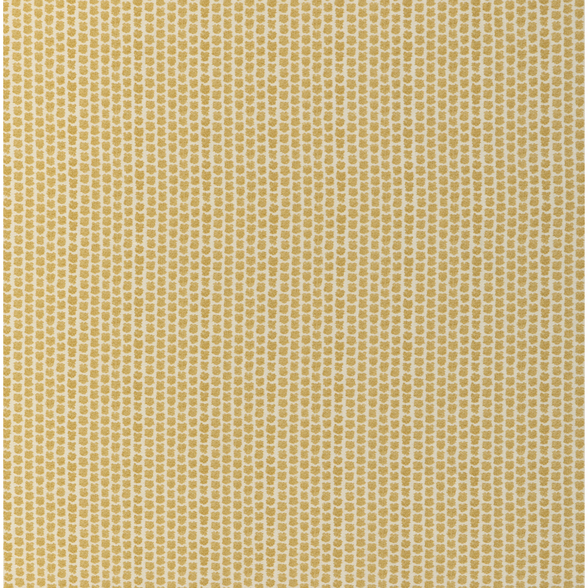 Kaya Ii - Maize