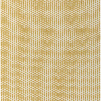 Kaya Ii - Maize