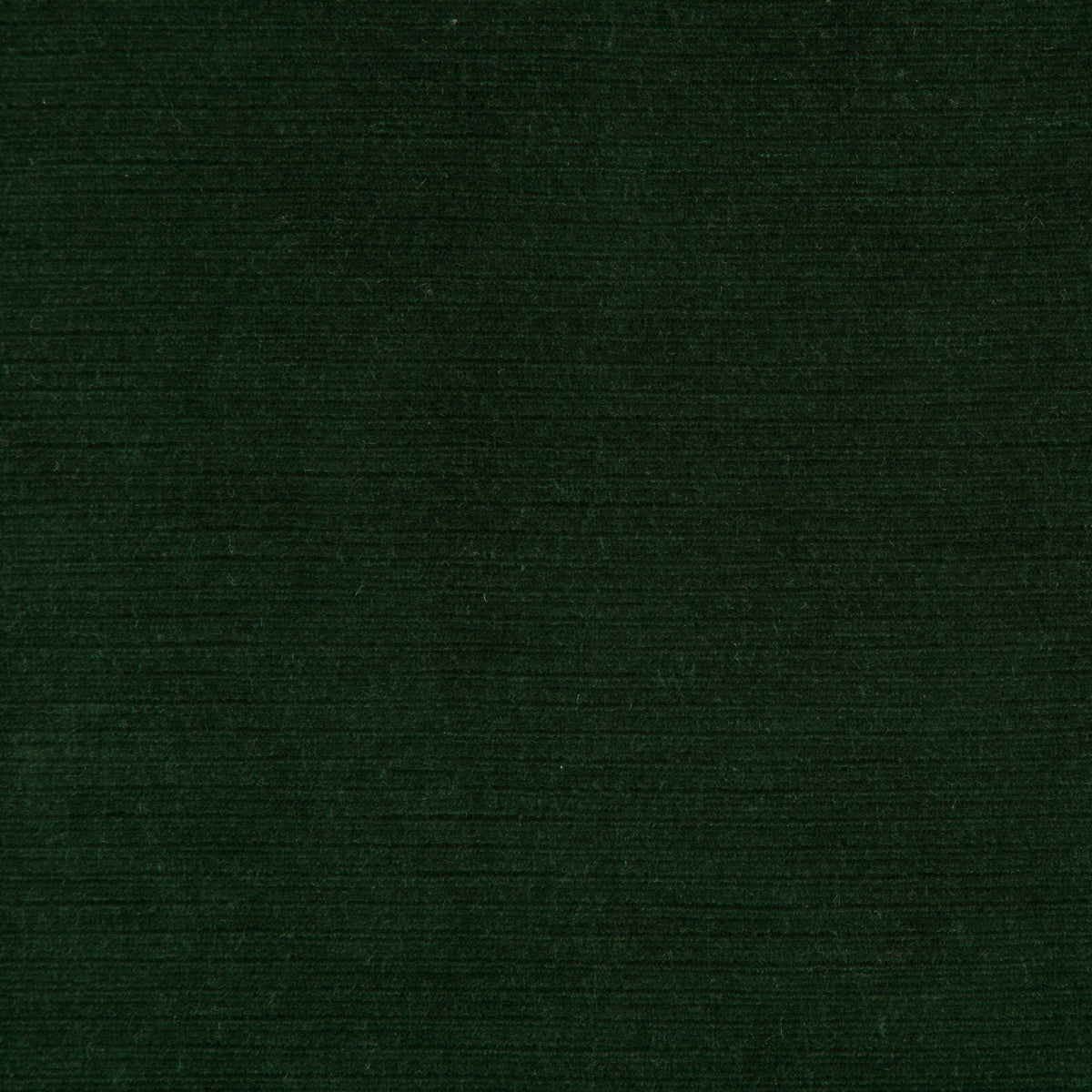 Gemma Velvet - Emerald