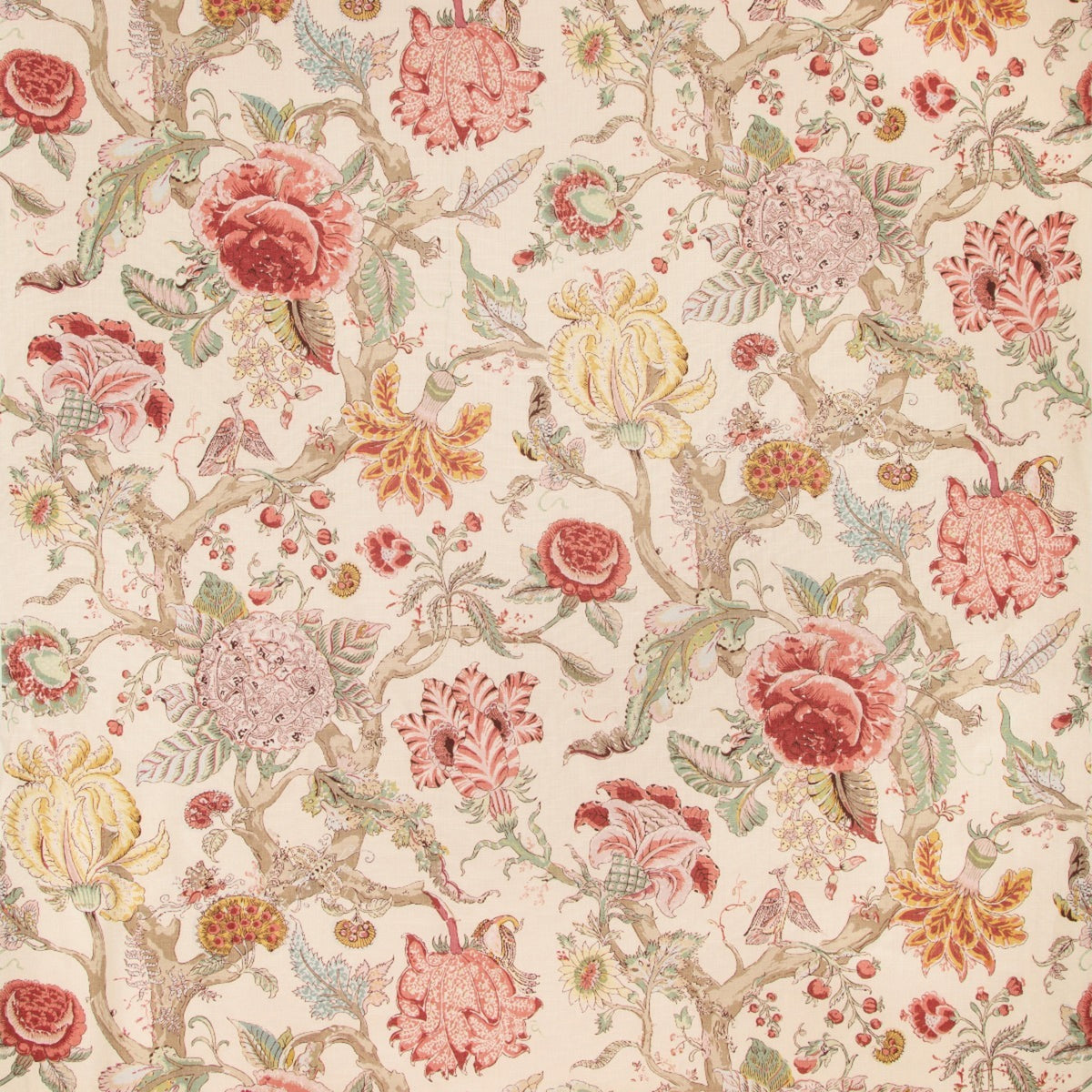 Adlington - Rose