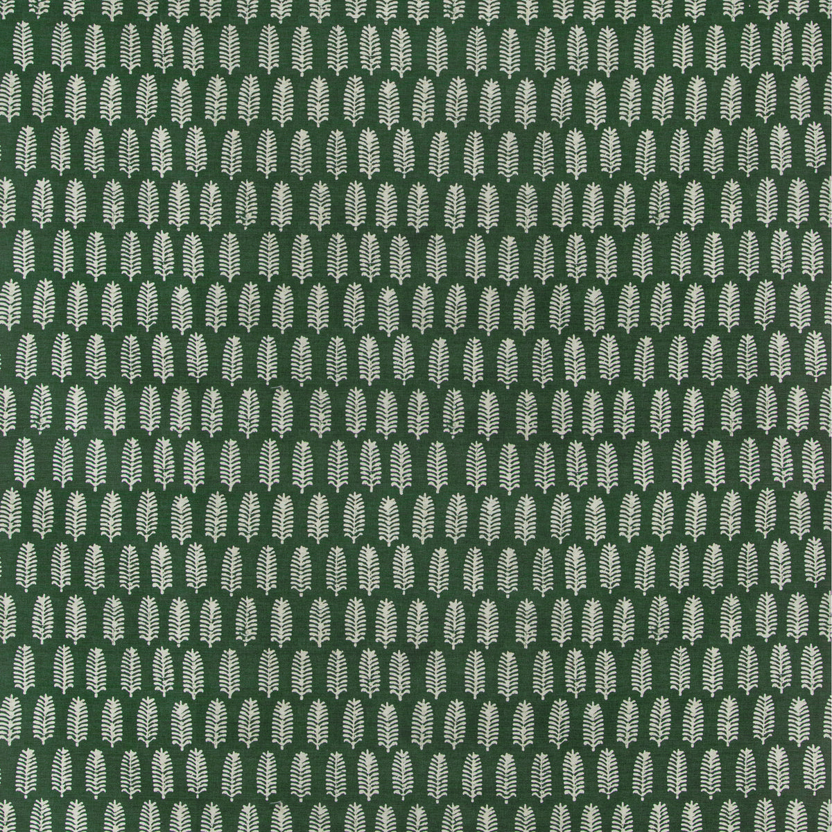 Palmier - Forest Green