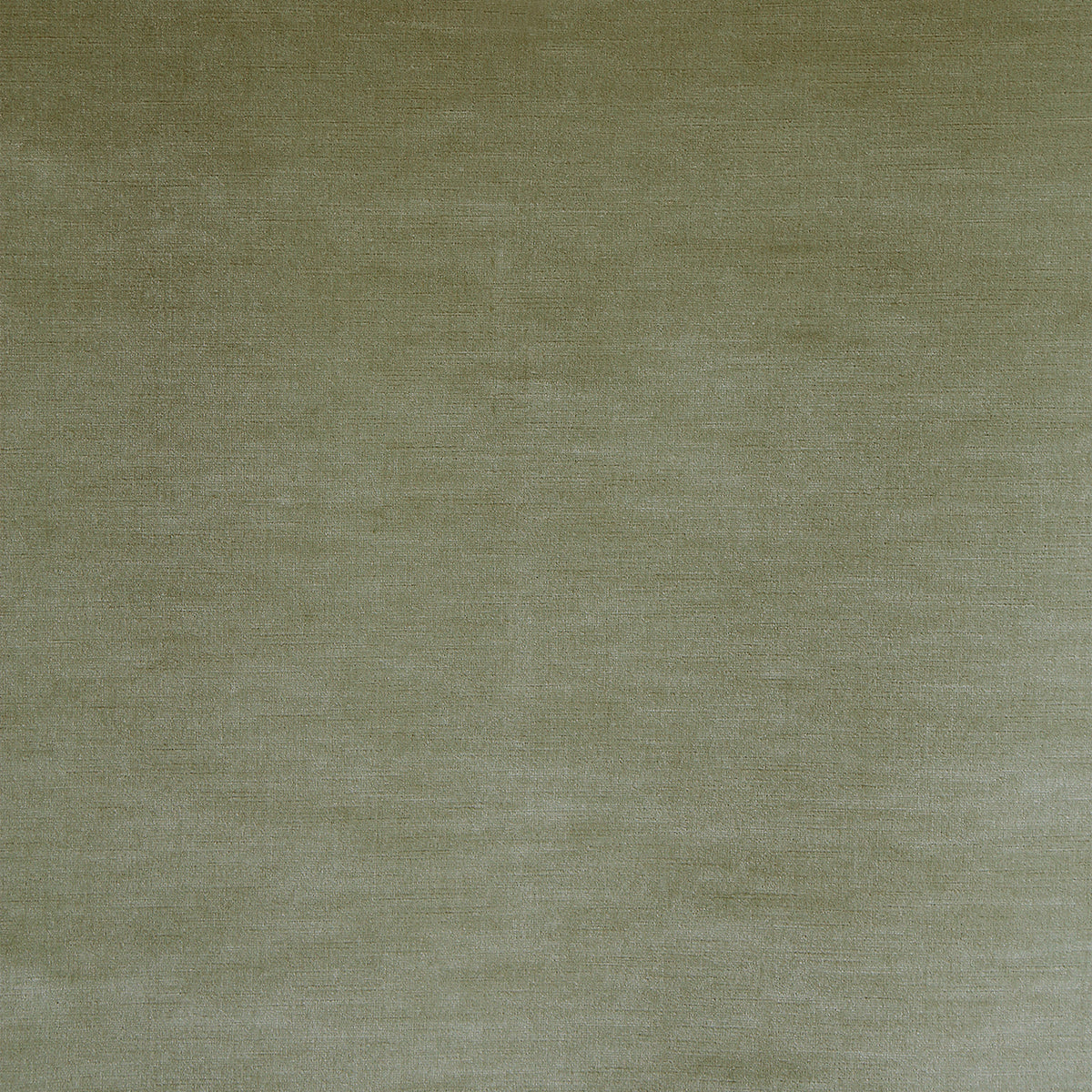 Arezzo - Celadon