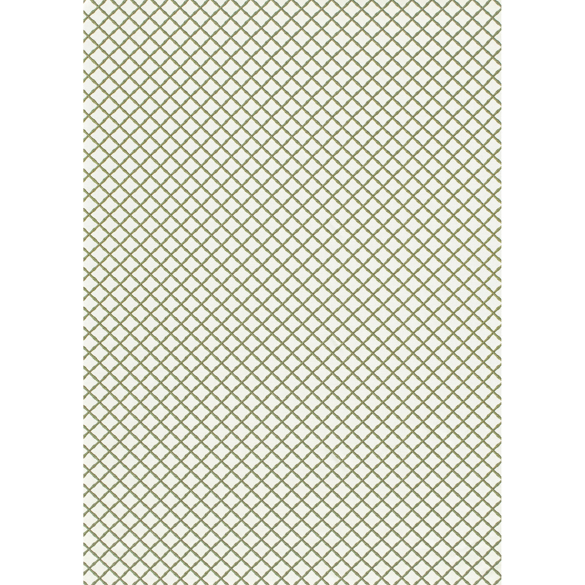 Bamboo Trellis - Sage
