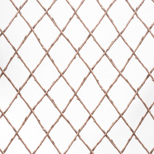 Bare Twig Trellis Fabric by Lee Jofa in Bro/Whi