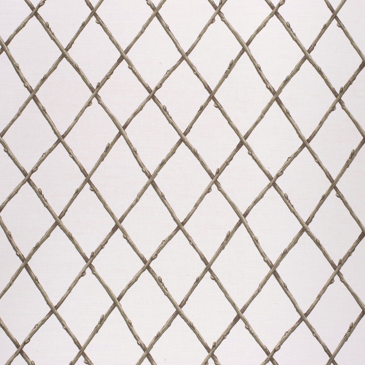 Bare Twig Trellis - Green