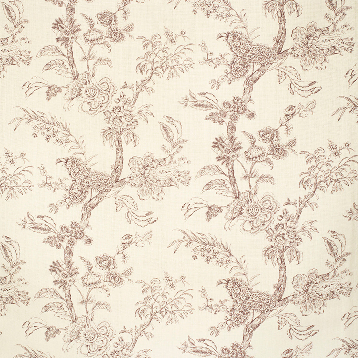 Beijing Blossom - Damson