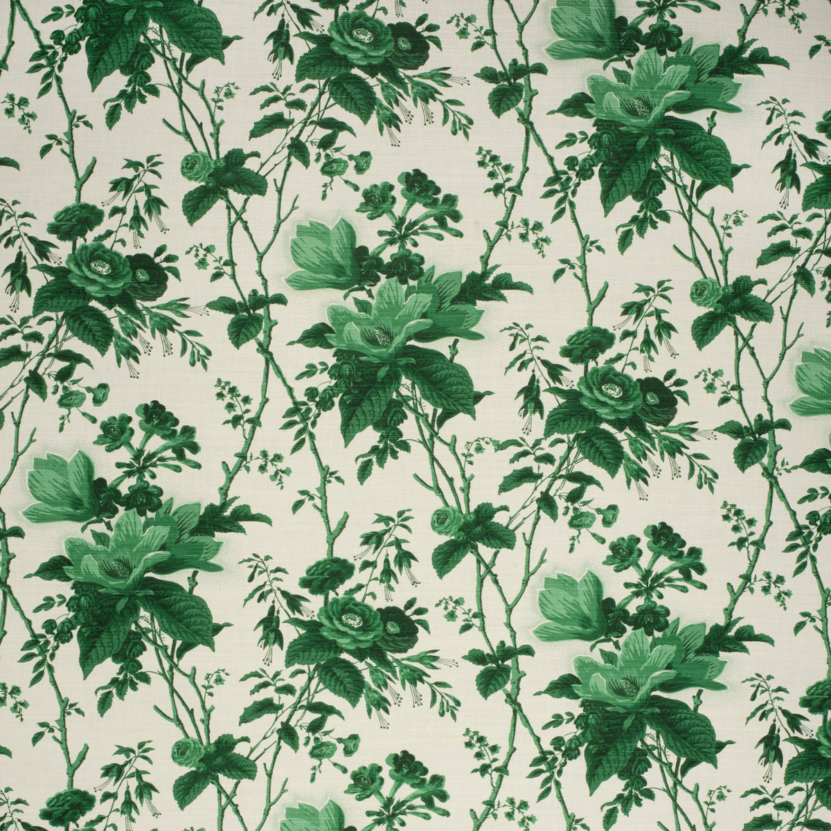 De La Tour - Paolos Green
