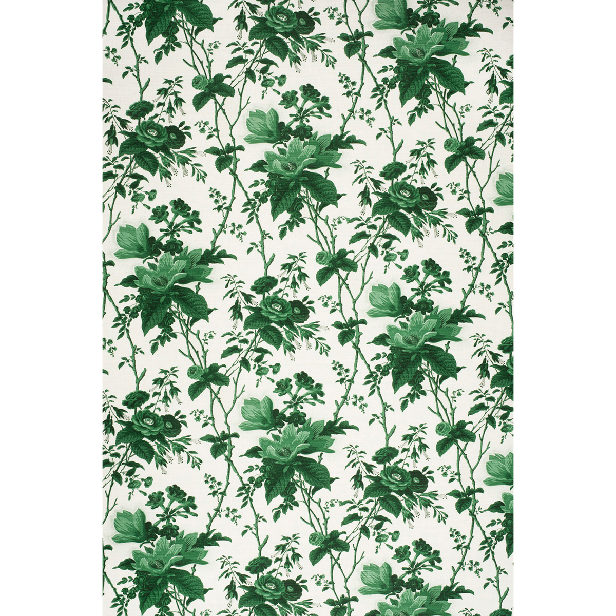 De La Tour - Paolos Green