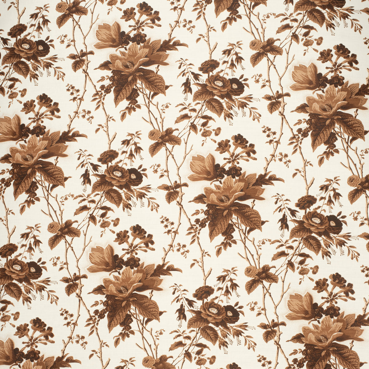 De La Tour - Brown