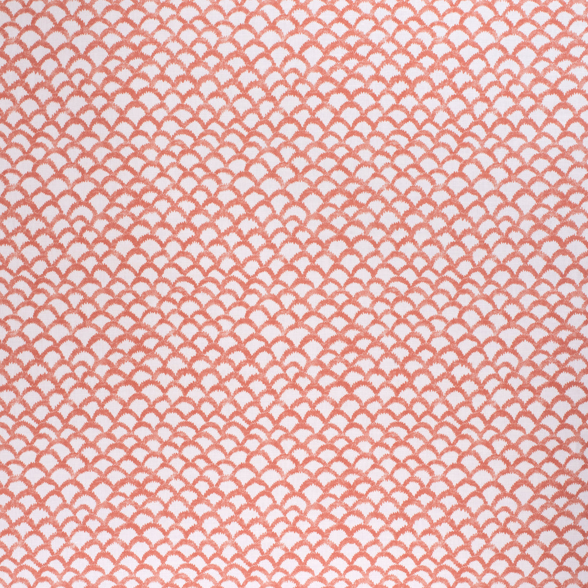 Roche - Orange