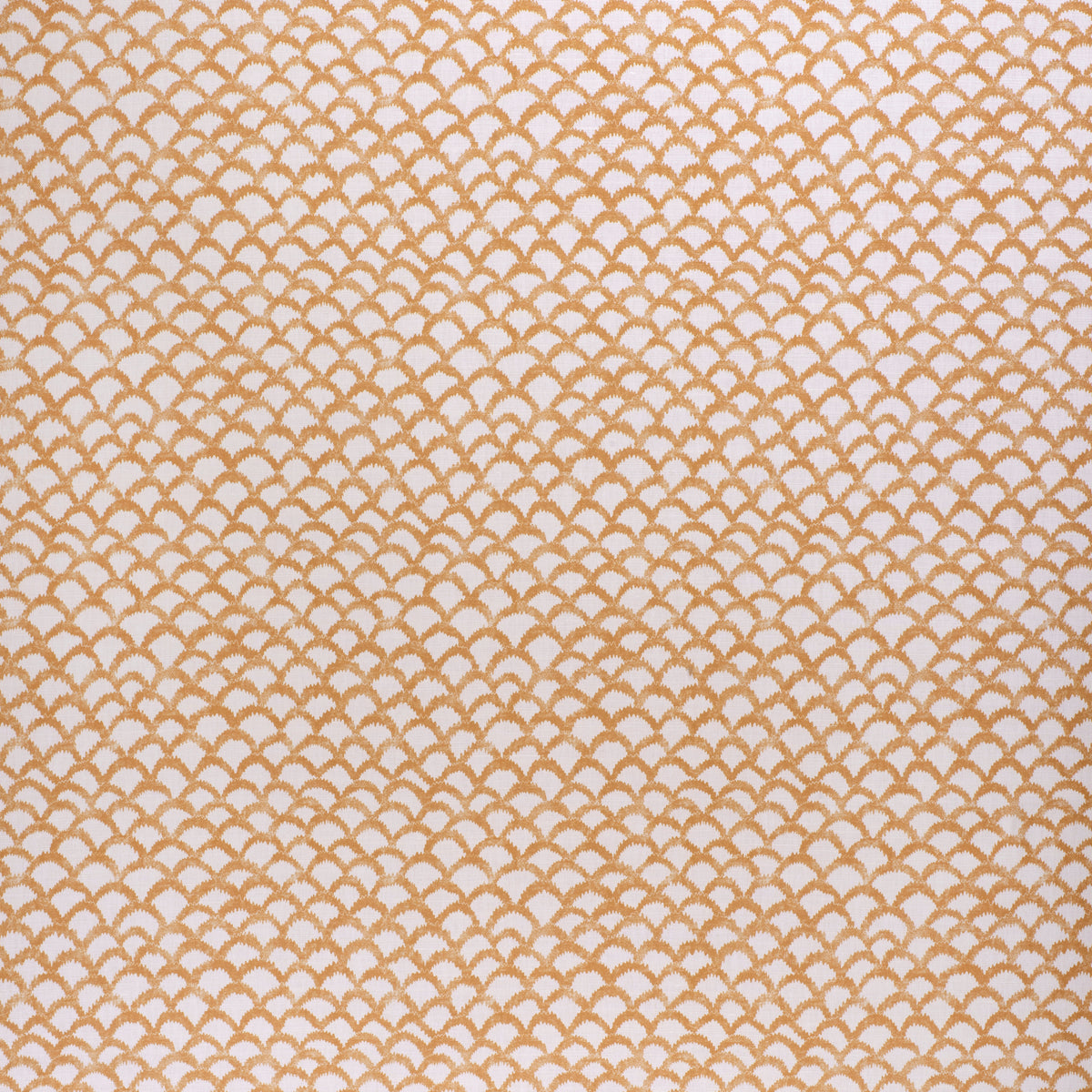 Roche - Ochre