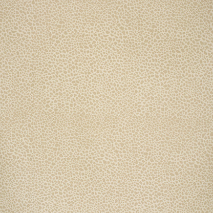 Safari Cotton - Light Taupe