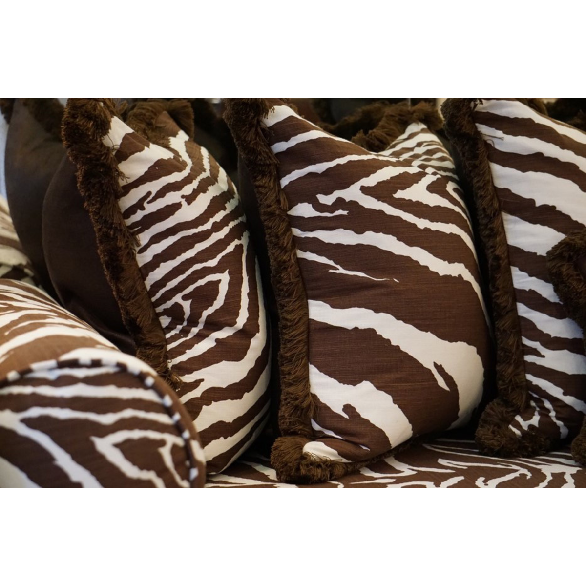 Zebra - Brown