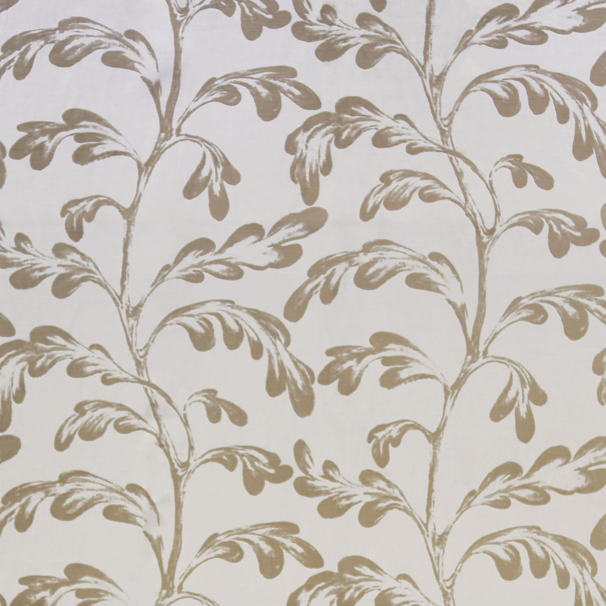 Ava Nivelles Oyster - Taupe