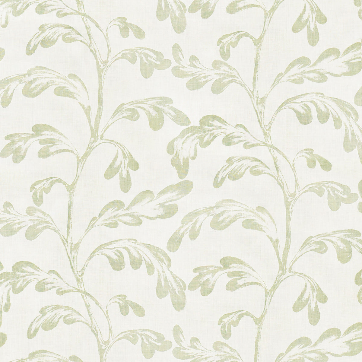 Ava Nivelles Oyster - Celadon