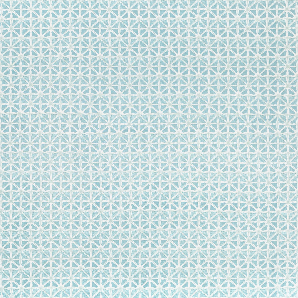 Sylvan Print - Aqua
