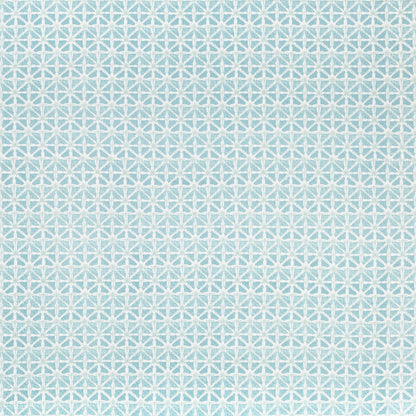 Sylvan Print - Aqua
