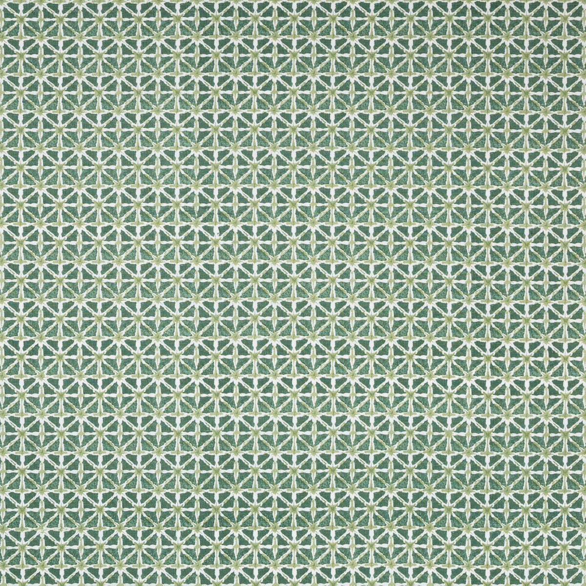 Sylvan Print - Aloe