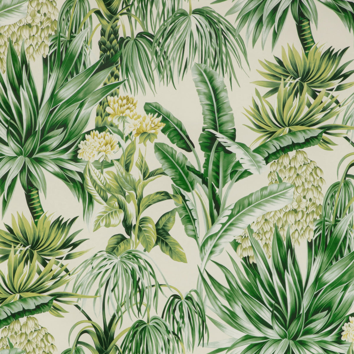 Caluya Print Fabric by Lee Jofa in Palm