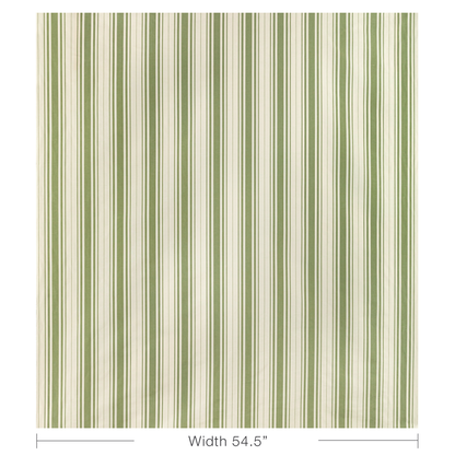 Baldwin Stripe - Fern