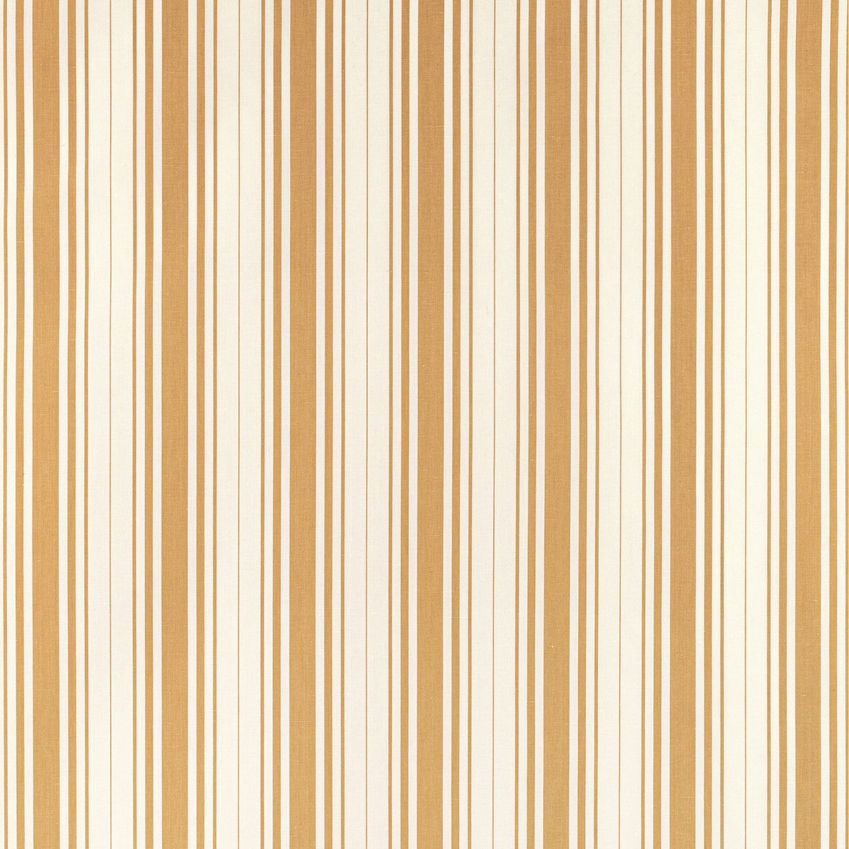 Baldwin Stripe - Saffron