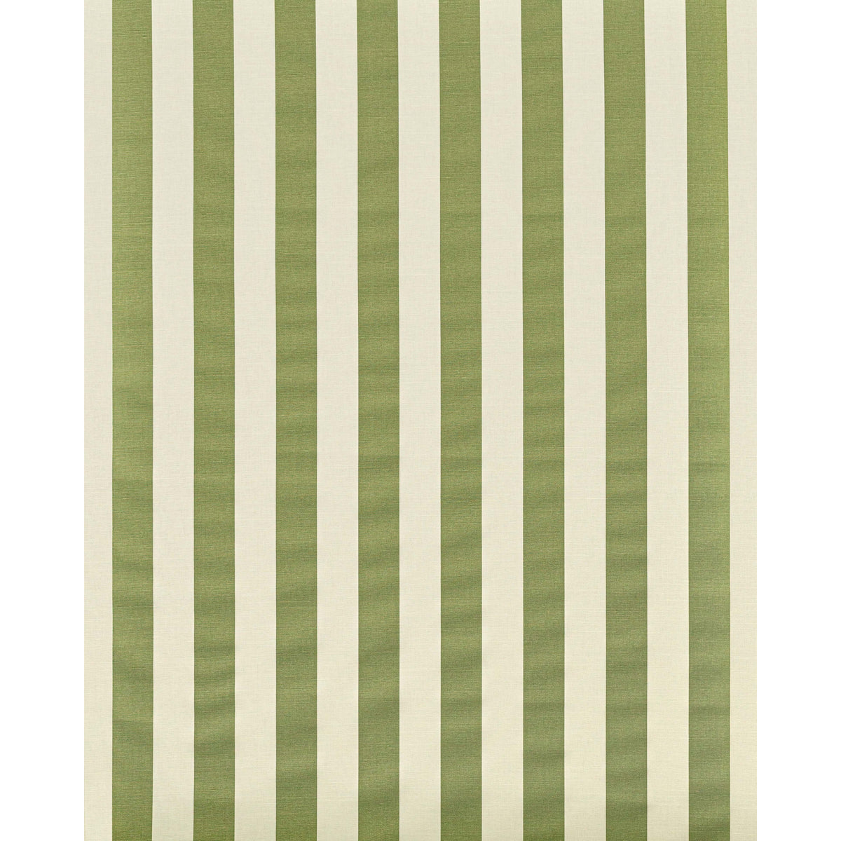 Avenue Stripe - Green On White
