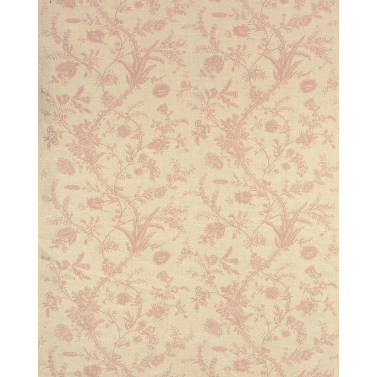 Plumes - Antique Pink