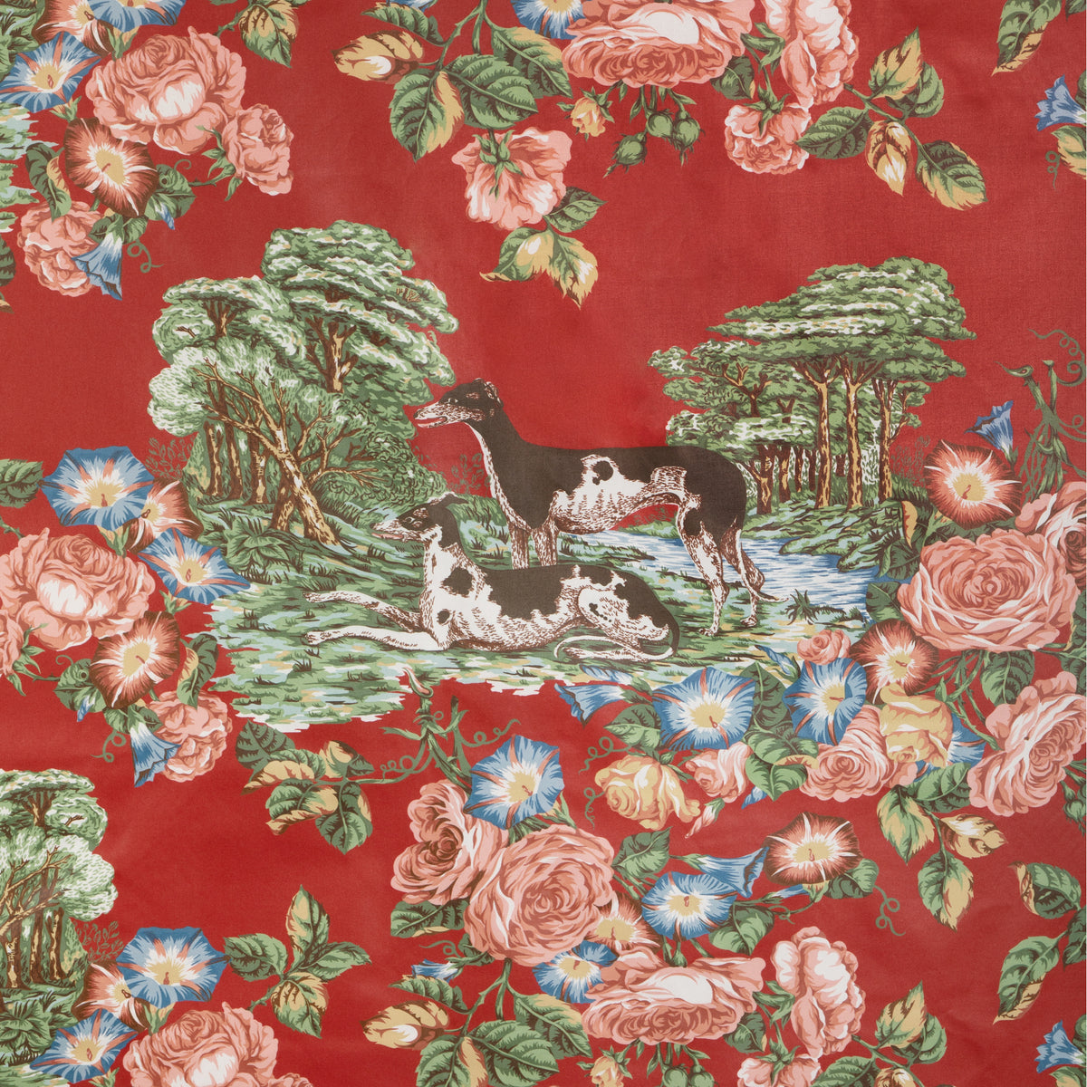 Whippets Cotton - Red