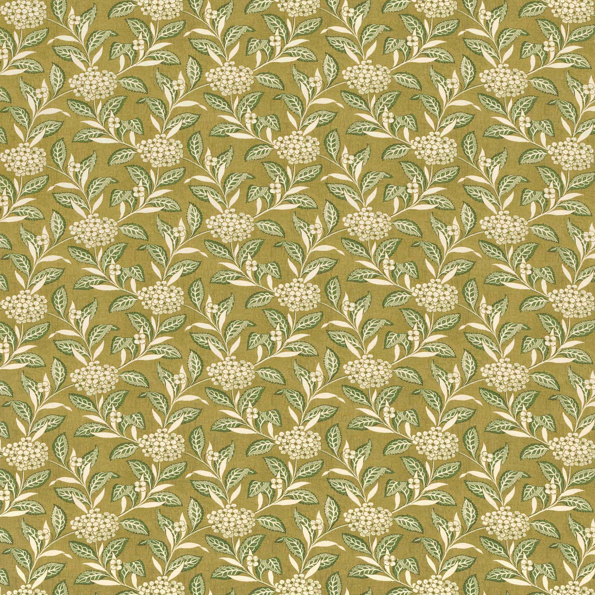 Ortensia - Sage On Olive