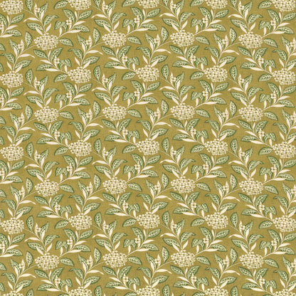 Ortensia - Sage On Olive
