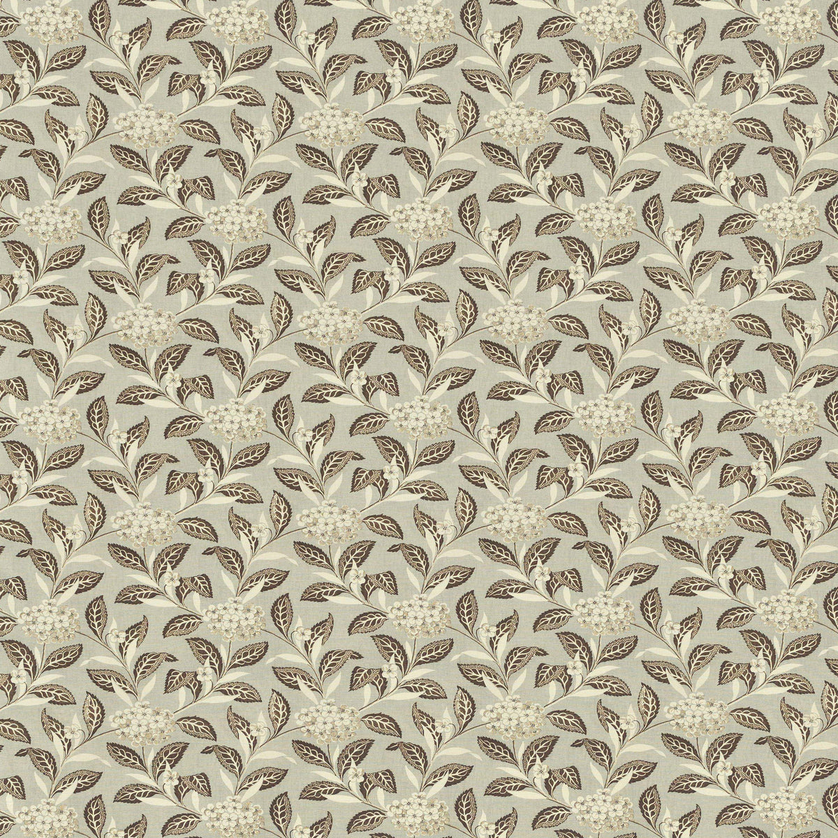 Ortensia - Brown On Celadon