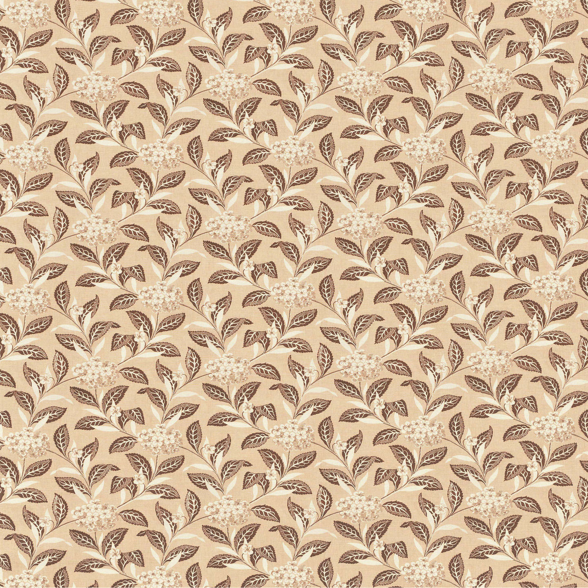 Ortensia - Brown On Blush