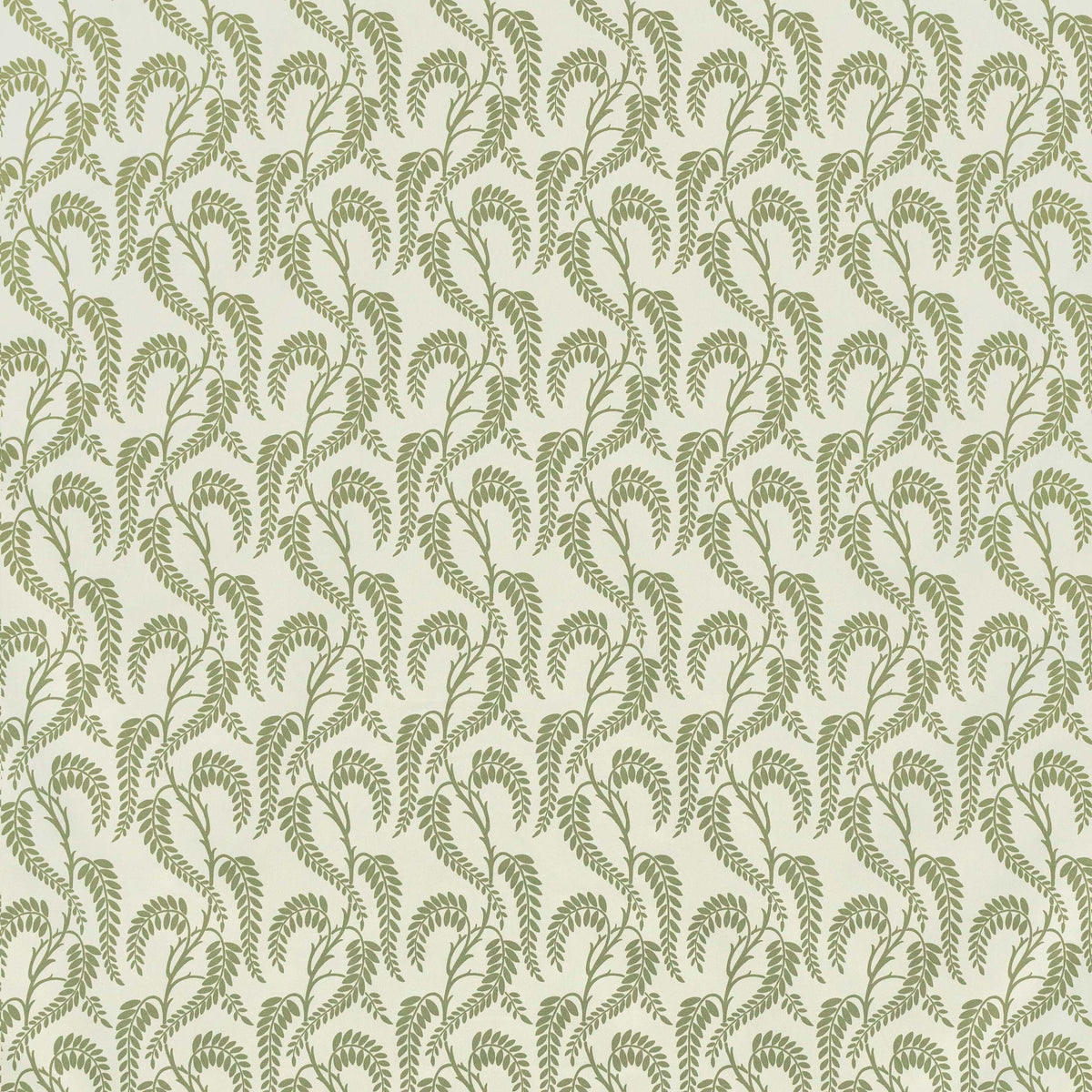 Wisteria - Sage On White