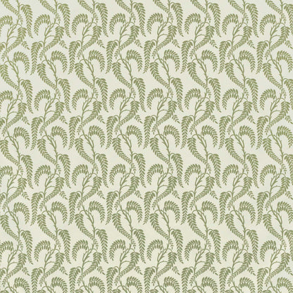 Wisteria - Sage On White