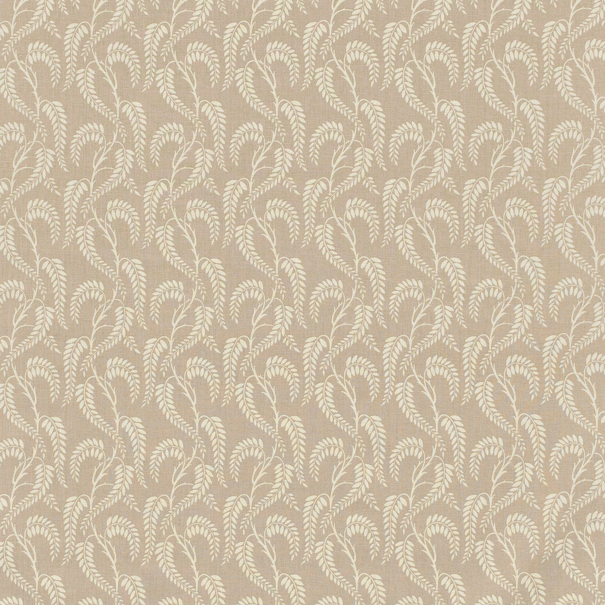 Wisteria Ii - Beige Taupe Ln